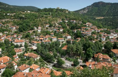 Türkiye 'nin Bolu kentinde yer alan Goynuk Kasabası, eski Osmanlı evleri ve tarihi eserleriyle önemli bir turizm kentidir..