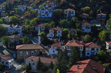 Türkiye 'nin Bolu kentinde yer alan Goynuk Kasabası, eski Osmanlı evleri ve tarihi eserleriyle önemli bir turizm kentidir..