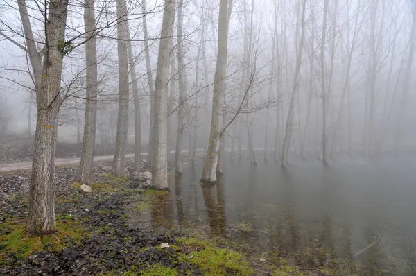 Türkiye 'nin Bolu kentinde Cubuk Gölü