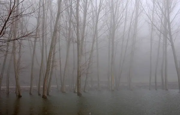 Türkiye 'nin Bolu kentinde Cubuk Gölü