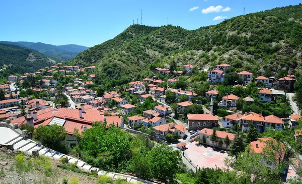 Türkiye 'nin Bolu kentinde yer alan Goynuk Kasabası, eski Osmanlı evleri ve tarihi eserleriyle önemli bir turizm kentidir..