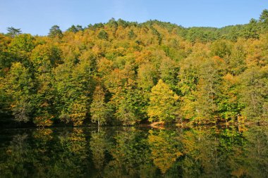 Yedigoller Milli Parkı, Bolu, Türkiye
