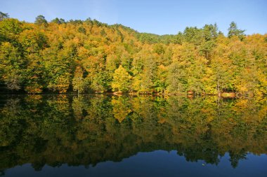 Yedigoller Milli Parkı, Bolu, Türkiye