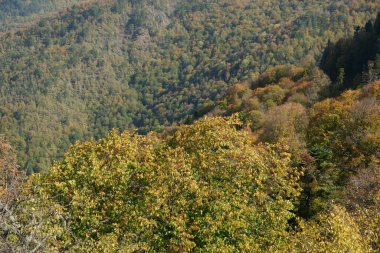 Yedigoller Milli Parkı, Bolu, Türkiye