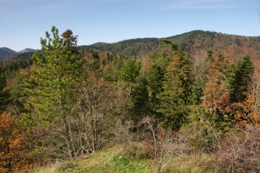 Yedigoller Milli Parkı, Bolu, Türkiye