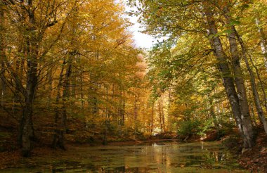 Yedigoller Milli Parkı, Bolu, Türkiye