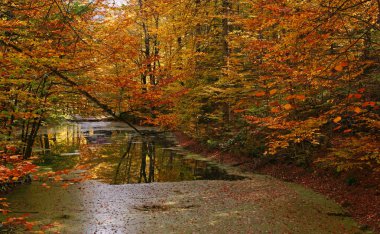 Yedigoller Milli Parkı, Bolu, Türkiye