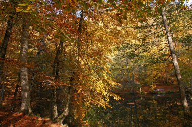 Yedigoller Milli Parkı, Bolu, Türkiye