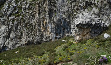 Burdur, Türkiye 'deki Sagalassos Antik Kenti