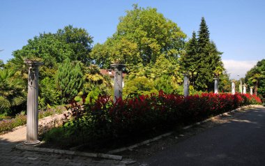 Batumi, Georgia 'daki Botanik Parkı
