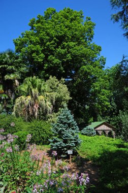 Batumi, Georgia 'daki Botanik Parkı