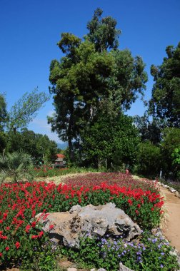 Batumi, Georgia 'daki Botanik Parkı