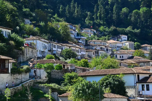 Arnavutluk 'un Berat kentindeki Tarihi Evler ve Berat Şatosu manzarası