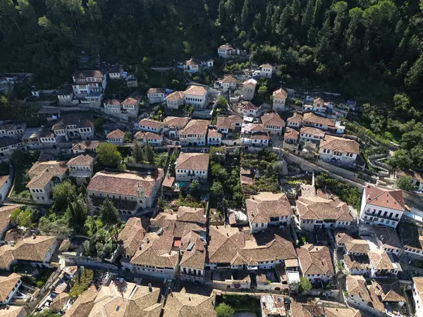 Arnavutluk 'un Berat kentindeki Tarihi Evler ve Berat Şatosu manzarası