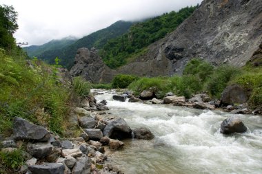 Trabzon 'daki Altindere Köyü, Türkiye.