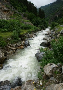 Trabzon 'daki Altindere Köyü, Türkiye.