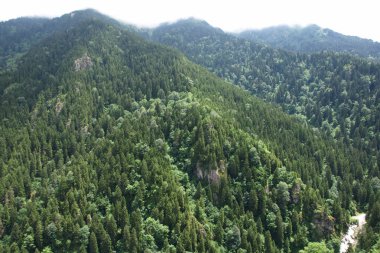 Trabzon 'daki Altindere Köyü, Türkiye.