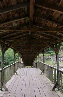 Türkiye 'nin Trabzon şehrinde yer alan Hapsiyas Köprüsü 1935 yılında inşa edilmiştir. Kiremit ve ahşaptan yapılmıştır..