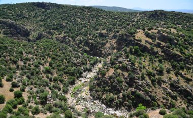 Türkiye 'nin Usak ilinde yer alan Tasyaran Vadisi, doğal oluşumuyla önemli bir turizm merkezidir..