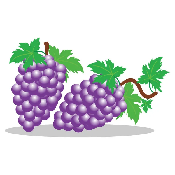 Uva Fruta Com Folhas Design Ilustração Simples — Vetor de Stock