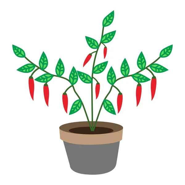 Rote Chili Und Baum Illustration Ein Einfaches Vektordesign — Stockvektor