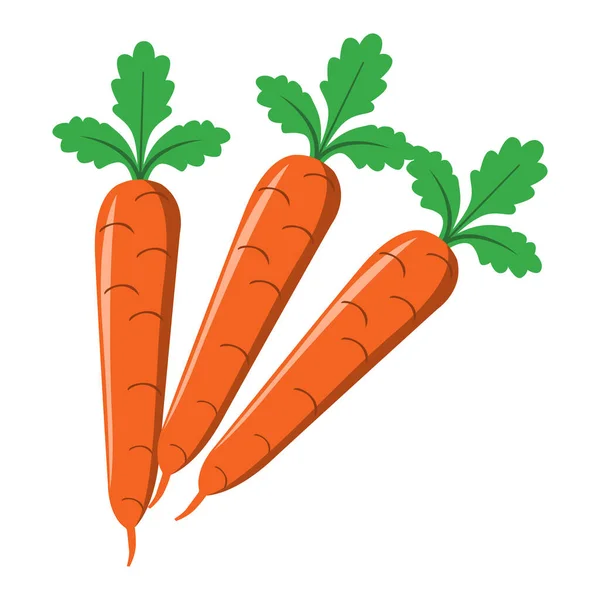 Морковь Иллюстрация Простой Векторный Дизайн — стоковый вектор