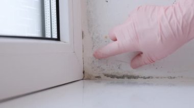 Küf ve mantarı öldürmek için kimyasallar sıkan kalıplı banyo ve profesyonel koruma giysisi giyen biri. Küf uzmanı kalıbı temizlemek için bir çeşit antimikrobik kimyasal kullanıyor..