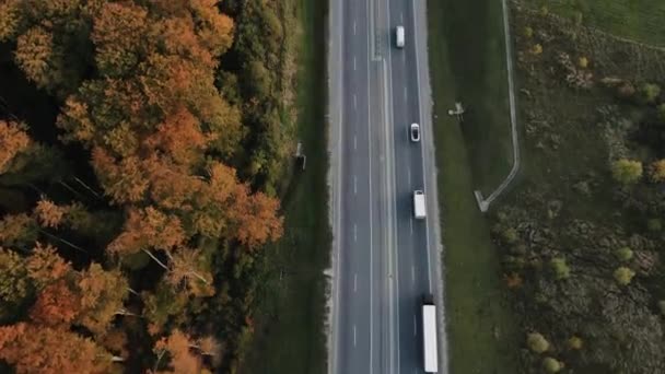 Autók Felülről Lefelé Haladnak Kereszteződésnél Senki Sem Városkép Közlekedési Autópálya — Stock videók