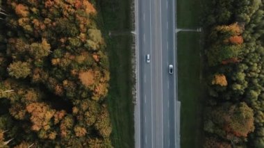 Kırsal alandaki yemyeşil ağaçların arasında kamyonlar ve arabalar yol alıyor. Kargo taşımacılığı güneşli bir sonbahar gününde hava manzaralı.