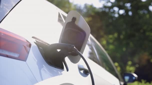 Электромобиль Зарядки Порта Подключение Автомобиле Электромобиль Заряжается Технология Зарядки Технология — стоковое видео