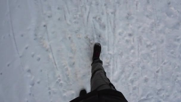 Man Legs Walking Snow Winter Wearing Black Boots Green Pants — Stock Video