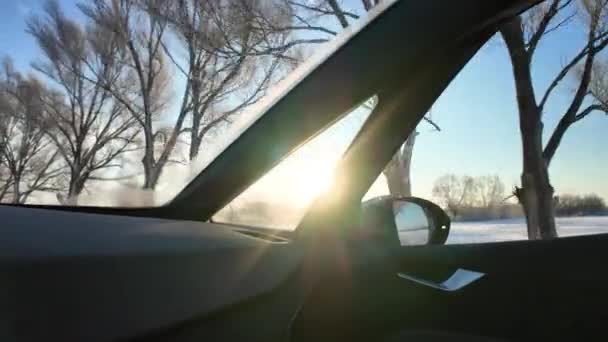 在松林和白桦林的雪冬路上 空旷的公路穿过冬季森林的风景 汽车在路上超速行驶 汽车在运动的侧窗视图 旅游和旅行 旅行概念 — 图库视频影像