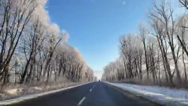 越野车在冬季公路上行驶 冬天的路穿过冰冷的车窗 阳光透过树木闪耀 美丽的冬季自然 在穿越冬季森林的路上超速行驶的汽车 — 图库视频影像