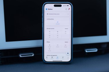Şarj durumunu kontrol etmek için telefonundaki EV uygulamasını kullanıyor. Hayali uygulama. EV araba kullanırken akıllı EV mobil uygulama. Akıllı telefondaki elektrikli araba uygulaması.