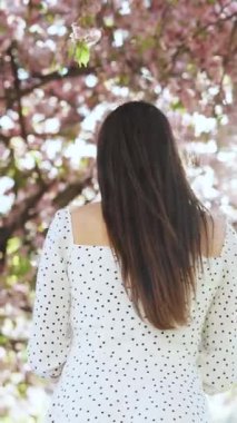 Kızın dikey videosu parkta hareket ediyor, sonra dönüp sakura çiçeğinin yapraklarını kameraya doğru atıyor. Kiraz çiçekleri ormanında elinde pembe kiraz çiçekleri açan kız.