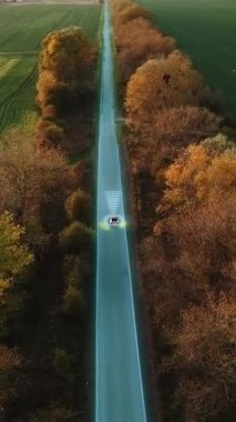 Otomatik Sürücü Elektrikli Araba Sürüşü 'nün dikey videosu. Canlandırılmış Görselleştirme Algılayıcı Tarama Yolu Araçlar, Tehlike ve Hız Sınırları için İleride. Yapay Zeka Analizleri Yolu.