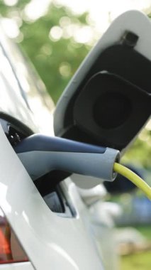 Elektrikli aracın yükleme portunun dikey videosu. Kadın elleri elektrikli otomobilinin fişini çekiyor. Elektrikli araba şarj aletinin fişini çeken bir kadın. Elektrikli araç şarjı