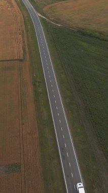 Kırsal bölgedeki şehirlerarası otoyolda giden tırın dikey videosu. Arka planda tarım yeşili tarlaları var. Teslimat aşaması ve lojistik ürünler. Ekspres Nakliye Servisi.