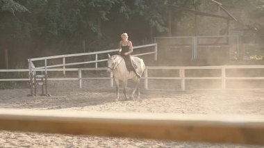 At yelesi. At siluet. Zarif at. Yaz ormanda binme