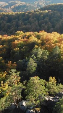 Hava Aracı Görünümü 'nün dikey Format Videosu: Günbatımında ormanlarla, çayırlarla ve tepelerle sonbahar dağlarının üzerinden uçmak