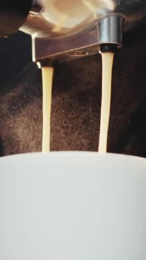 Kahvenin dikey format videosu bir fincan kahve makinesine döküldü. Üst düzey bir kafeteryada taze kahve hazırlamak ve servis etmek. Yakın plan espresso kahvesi hazırla.