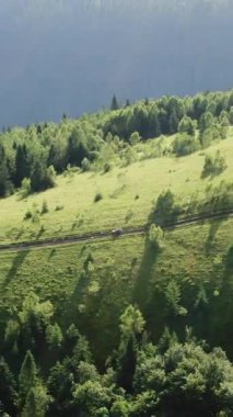 Çiftin dikey videosu dörtlü bisiklete biniyor. Hava manzaralı Karpat dağları ormandaki yol. Manzara. Yaz günü. Ormanlar, çayırlar ve tepelerle gün batımında yumuşak ışıkta dağların üzerinden uçmak.