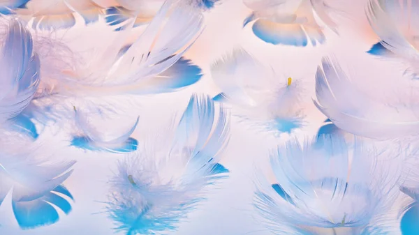 Beyaz arkaplanda gölgeleri olan renkli ışık saçan beyaz tüyler.