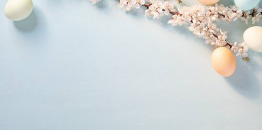 Yumuşak mavi bir yüzey üzerinde pastel renkli Paskalya yumurtaları ve kiraz çiçekleri dallarının narin bir düzenlenmesi ilkbaharın şenlikli ruhunu temsil eder..
