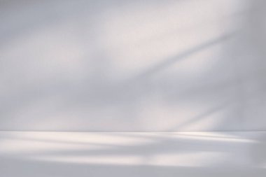 Yumuşak doğal ışık, kapalı beyaz arka planın minimalist beyaz desenli yüzeyine yumuşak gölgeler bırakır..