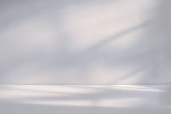 Yumuşak doğal ışık, kapalı beyaz arka planın minimalist beyaz desenli yüzeyine yumuşak gölgeler bırakır..