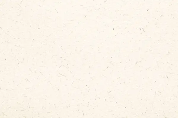 Bu yüzey, çeşitli sanatsal ve el işi projeleri için ideal, düzensiz ve hafif desenli, doğal bir el yapımı kağıt dokusuna sahiptir. Tasarımlar ve yazılar için mükemmel..