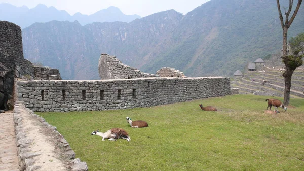 Machu Picchu Blick Auf Peru Südamerika Anden Hochwertiges Foto — Stockfoto