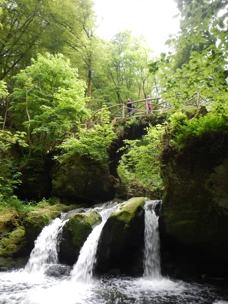 川の緑の森の中のミニ滝美しい 高品質の写真 — ストック写真