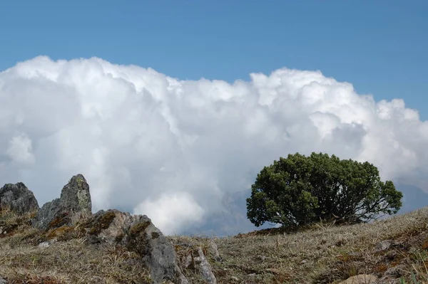 Andes Mountain Pass Chmury Blue Sky Grass Wysokiej Jakości Zdjęcie — Zdjęcie stockowe